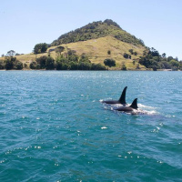 The Oceans – an invitation to awe