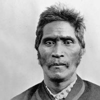 Wiremu Tamihana - Living Resurrection in his time