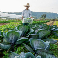 Lauro Müller realiza o 1º Evento “Parceria para o Progresso do Campo”