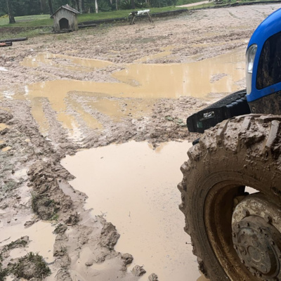 Rádio Cruz De Malta Am 830