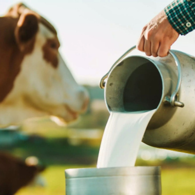 Rádio Cruz De Malta Am 830