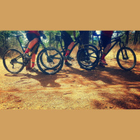 What is Bikes And...?