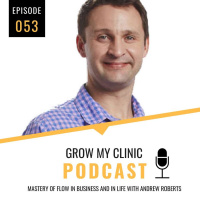 053 - Mastery of Flow in Business and in Life with Andrew Roberts