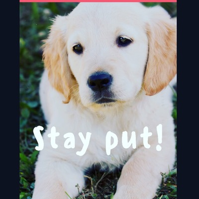 Sometimes I Talk To Myself