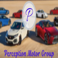 Perception Motor Group 