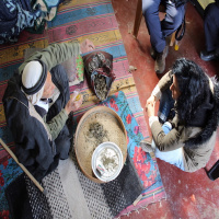 Nance Klehm with Vivien Sansour