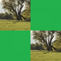 Nance Klehm with Prairie Elder and Restorationist George Johnson