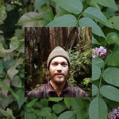 Spontaneous Vegetation