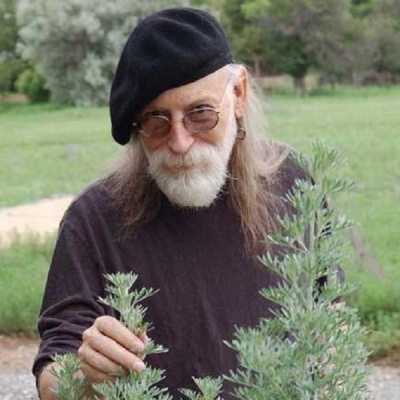 Spontaneous Vegetation