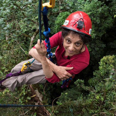 Spontaneous Vegetation