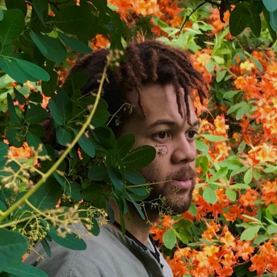 Spontaneous Vegetation