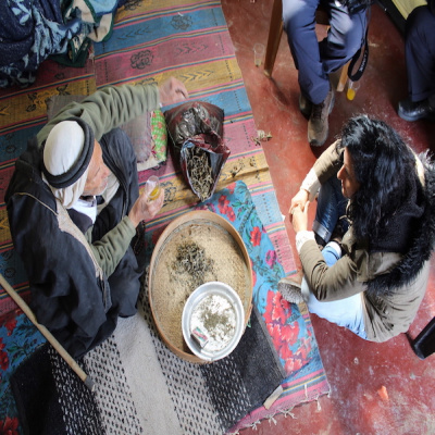 Spontaneous Vegetation