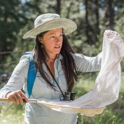 Spontaneous Vegetation