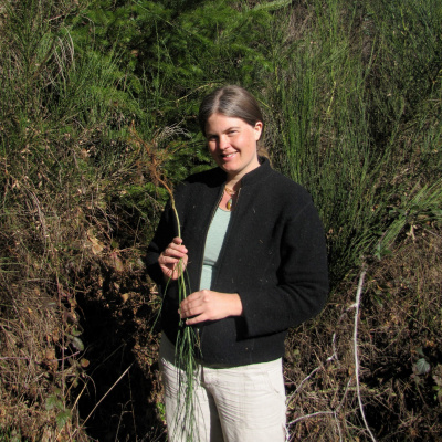 Spontaneous Vegetation