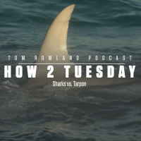 How 2 Tuesday - Sharks vs. Tarpon - EPISODE #617