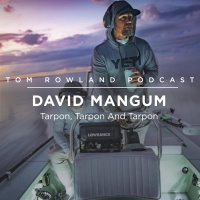 David Mangum - Tarpon, Tarpon And Tarpon - #0060