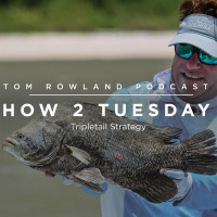 Tripletail Strategy - HOW 2 TUESDAY #68