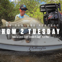How To Catch GIANT Snook Ft. Capt. Ryan Nitz