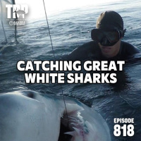 Catching Great White Sharks and Filmmaking with Chip Michaelove and Taylor Horton - Episode #818
