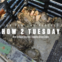 How To Have Success Trapping Stone Crabs