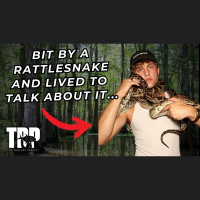 David Orin | Herping Social Media Star | #952