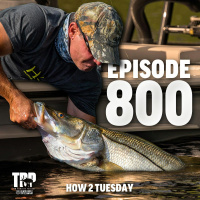 800th Episode! - How2Tuesday