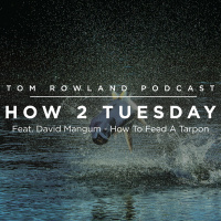 HOW 2 TUESDAY #30 - Feat. David Mangum How To Feed A Tarpon 