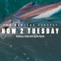 How 2 Tuesday - Hooking a Cobia with Austin Hayne - Episode #665