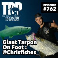 Giant Tarpon on Foot: @Chrisfishes_ - Episode #762