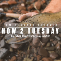 How 2 Tuesday - Hoot Owl - WHAT is it? HOW to comply and WHY?