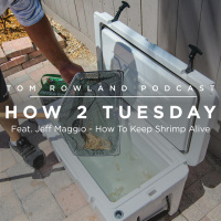 HOW 2 TUESDAY #31 - Feat. Jeff Maggio - How To Keep Shrimp Alive