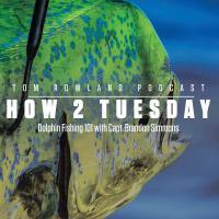HOW 2 TUESDAY - Dolphin Fishing 101 with Capt. Brandon Simmons