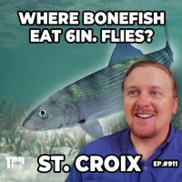 Is Saint Croix Fishings Best Kept Secret? - Carter Smith-Wellman ⎸ Ep. #911