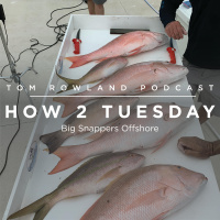 HOW 2 TUESDAY #36 - Big Snappers Offshore