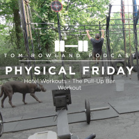 PHYSICAL FRIDAY #3 - Hotel Workouts - The Pull-Up Bar Workout