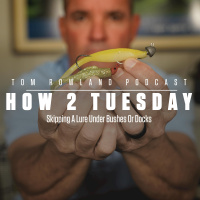 HOW 2 TUESDAY - Skipping A Lure Under Bushes Or Docks