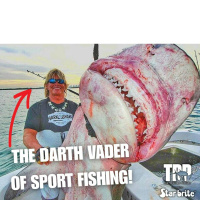 Mark The Shark: The Darth Vader Of Sportfishing!