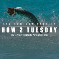 How 2 Tuesday - How To Predict The Atlantic Palolo Worm Hatch - EPISODE #605