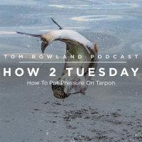 HOW 2 TUESDAY #48 - How To Put Pressure On Tarpon