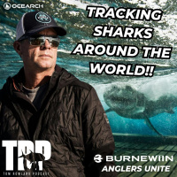  Chris Fischer | Founder of OCEARCH | Ep. #968