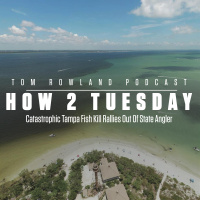 How 2 Tuesday - Catastrophic Tampa Fish Kill Rallies Out Of State Angler