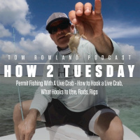 HOW 2 TUESDAY - Permit Fishing With A Live Crab - How to Hook a Live Crab, What Hooks to Use, Rods, Rigs
