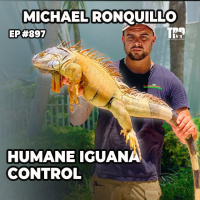 Michael Ronquillo of Humane Iguana Control ⎸ Episode #897