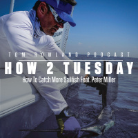 How To Catch More Sailfish Feat. Peter Miller - HOW 2 TUESDAY #85