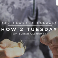 HOW 2 TUESDAY #20 - How To Choose A Bonefish Fly