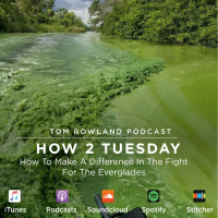 HOW 2 TUESDAY #5 - How To Make A Difference In The Fight For The Everglades