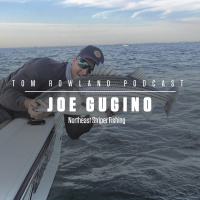 Joe Gugino - Northeast Striper Fishing, Conservation, Cross-State Issues, and More