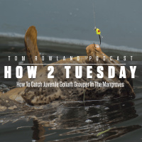 How 2 Tuesday - Catching Grouper In The Mangroves - EPISODE #581