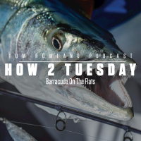 Barracuda On The Flats - HOW 2 TUESDAY #81