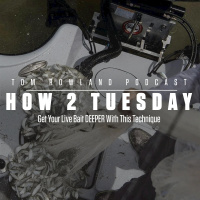 How 2 Tuesday - Get Your Live Bait DEEPER With This Technique